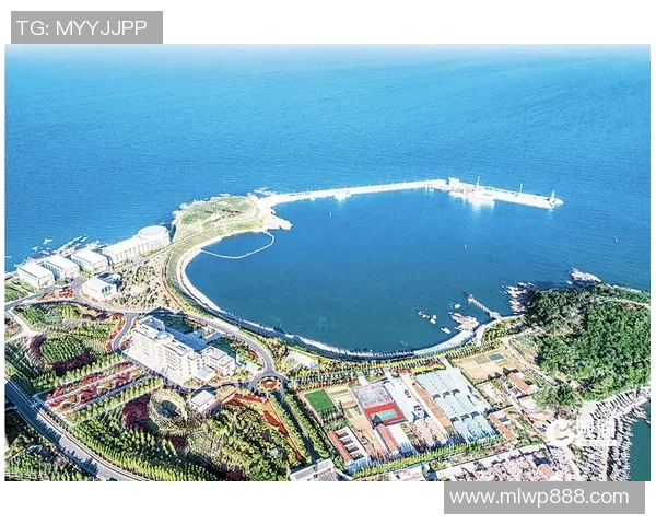 奋进蓝色新引擎青岛西海岸打造高质量发展创新示范区