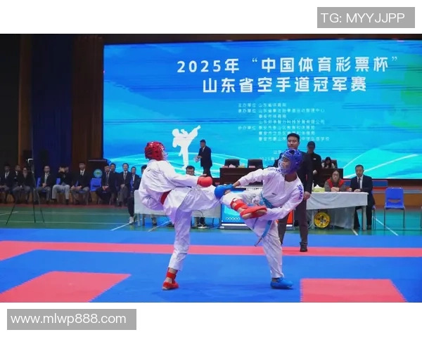 聚焦国际体育赛事激战全面展现竞技精神与团队力量风采魅力盛会中